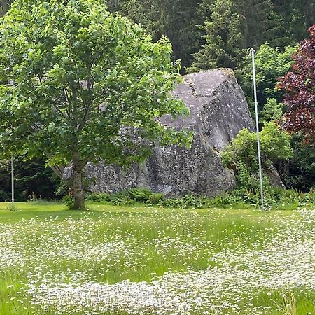 Haus Am Rain Bed & Breakfast Partenen Exterior photo